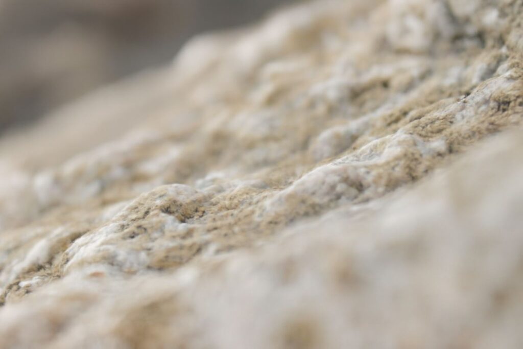 White Mold Spiritual Meaning