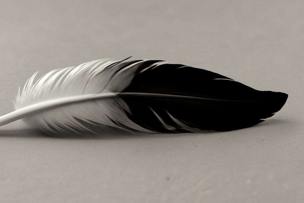 White, Gray, and Black Feathers
