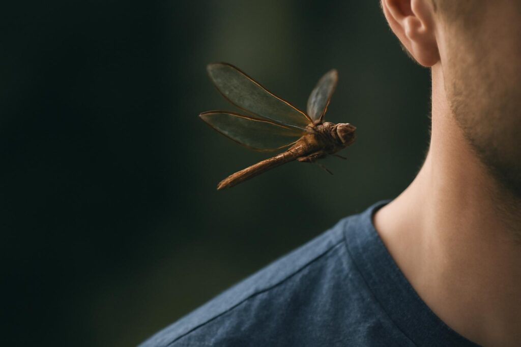 Dragonfly Flies Around You