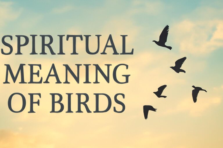 Spiritual Meaning of Birds